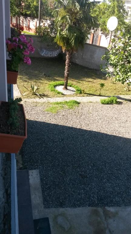 Zahrada ubytování Shalva Apartment