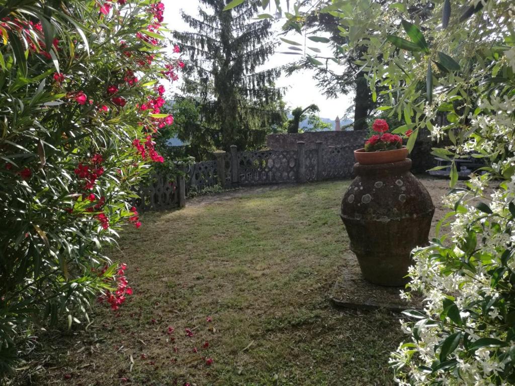 Ogród w obiekcie B&B Mare e Monti