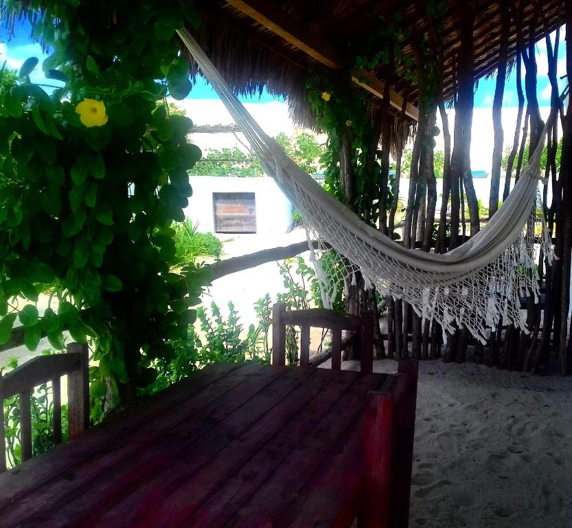  Eco Kite Dunas