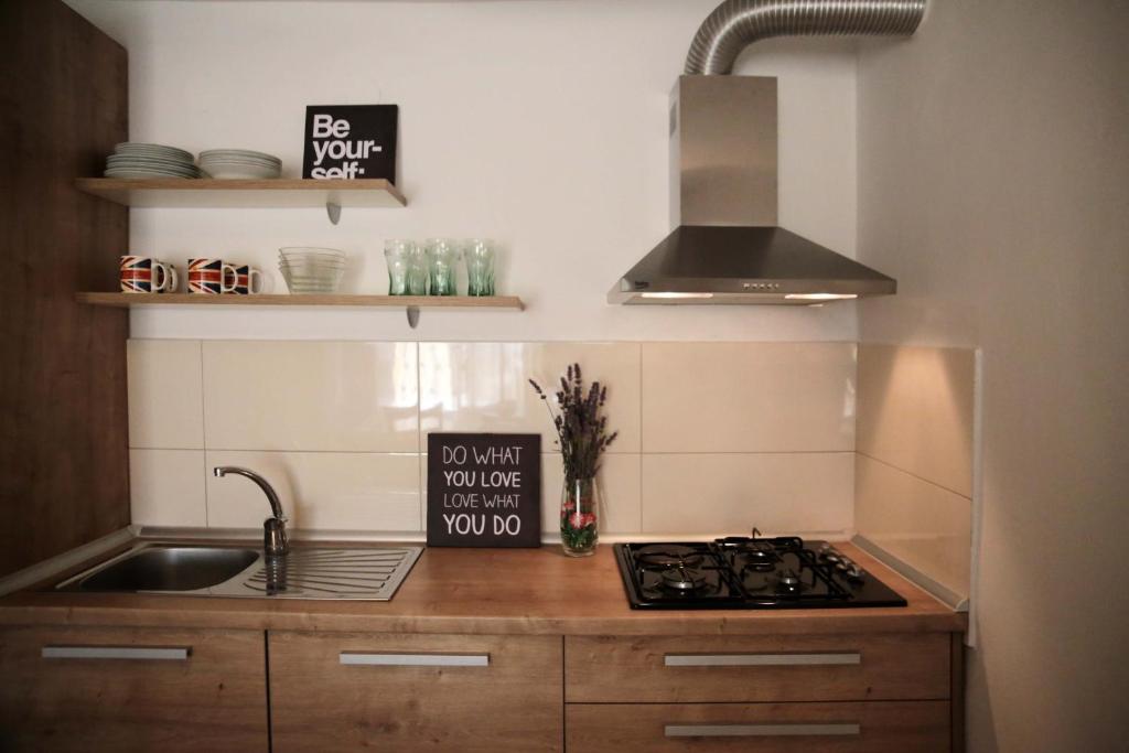 a kitchen with a sink and a stove top oven at Apartments Roko in Tisno