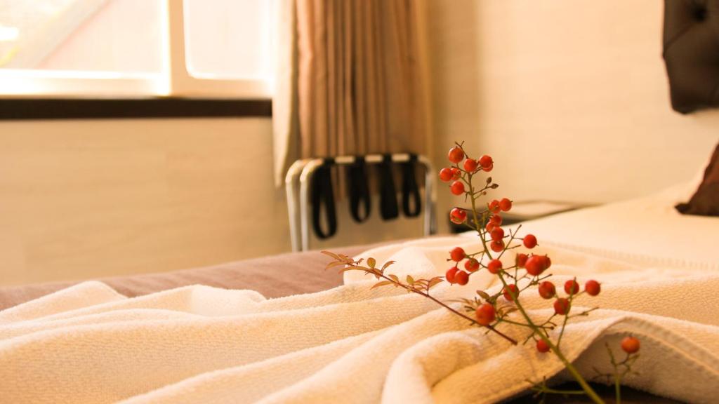 Pousada Jasmim  Pousada Jasmim