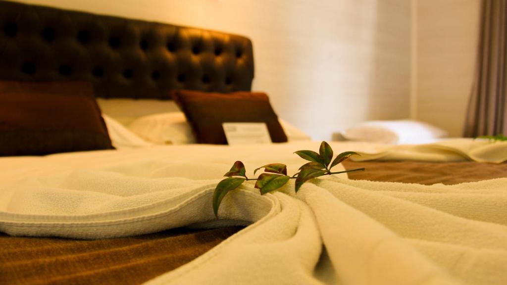 Pousada Jasmim  Pousada Jasmim