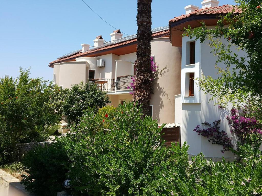 Zahrada ubytování Dolphin Apartments
