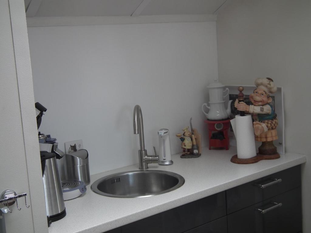 Kuchyň nebo kuchyňský kout v ubytování B & B Kaaskenswater