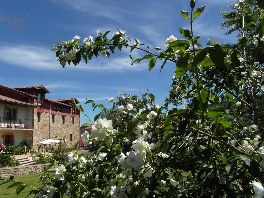 Zahrada ubytování Albergue La Torre