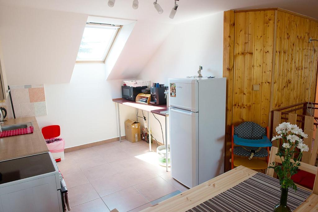 Kuchnia lub aneks kuchenny w obiekcie APARTMÁN CABERNET