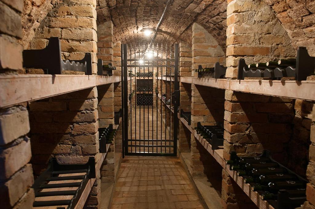 Zdjęcie z galerii obiektu APARTMÁN CABERNET w mieście Velké Pavlovice