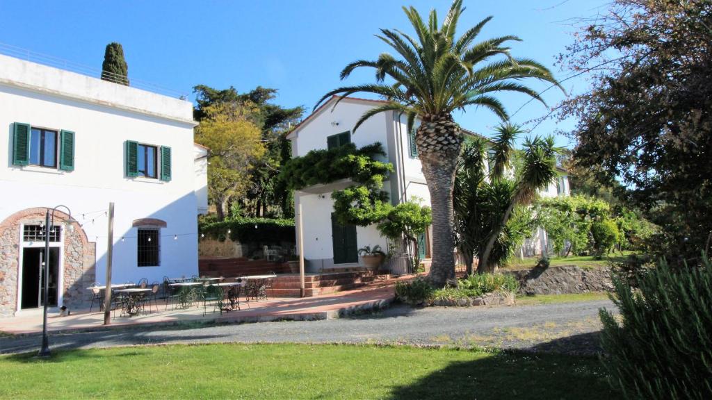 a house with a palm tree in front of it at Agriturismo SS Annunziata in San Vincenzo