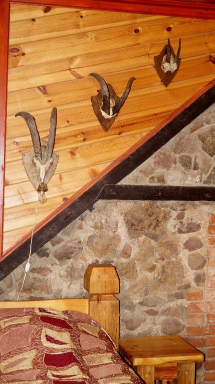 Fotografie z fotogalerie ubytování Guest house Jumiezis v destinaci Pļaviņas