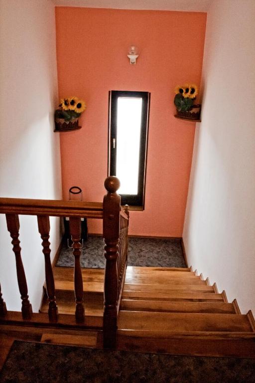 Fotografie z fotogalerie ubytování AP Silvija v destinaci Zadar