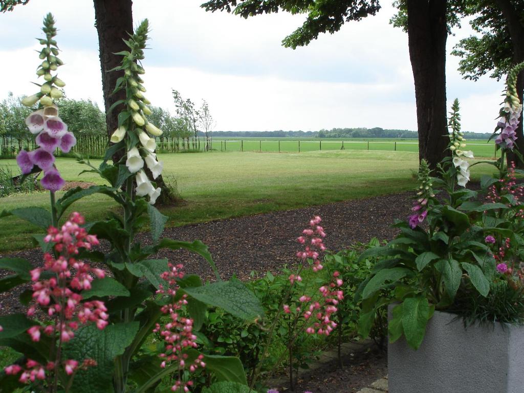 a garden of flowers with a field in the background at Ooldershoeve in Onstwedde