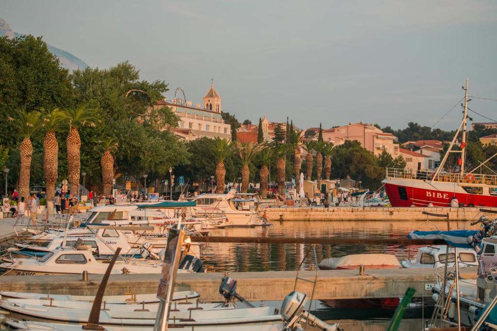 Príroda v okolí apartmánu