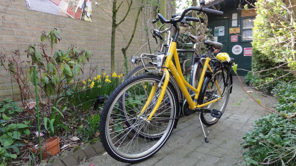 Đạp xe trong hoặc quanh B&B Aan het Park Eindhoven