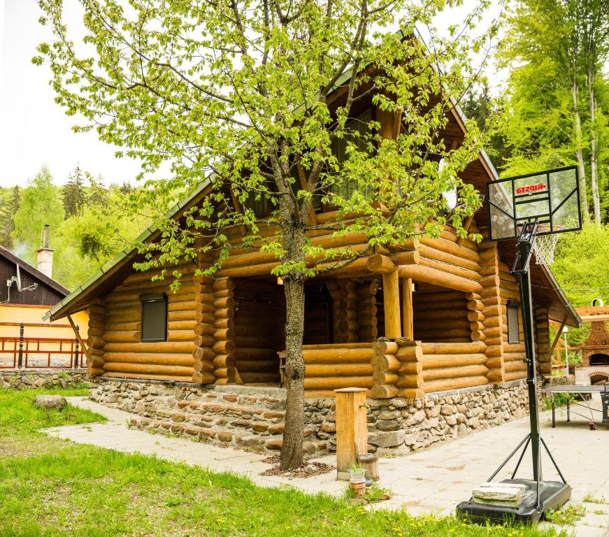 ein Blockhaus mit einem Basketballkorb davor in der Unterkunft Cabana Jasmin in Băile Chirui