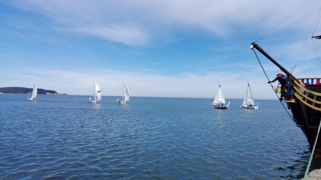 a group of sailboats on a large body of water at Dolina Gołębiewska in Sopot