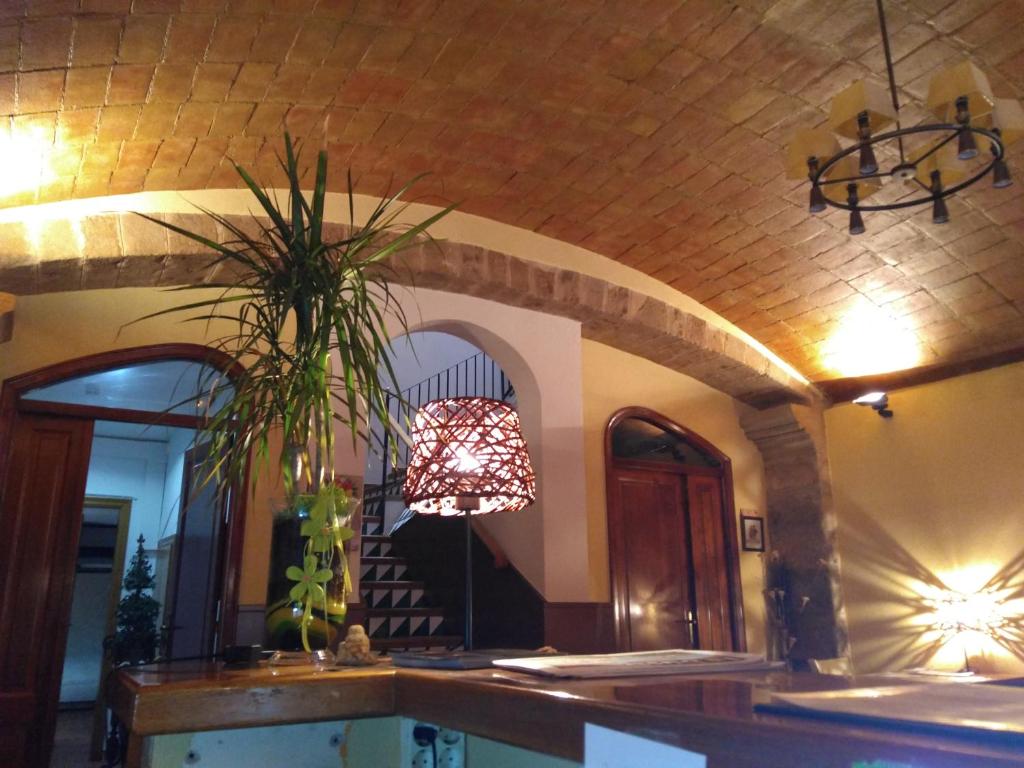 a lobby with a potted plant and a light fixture at Can Misse in Collbató