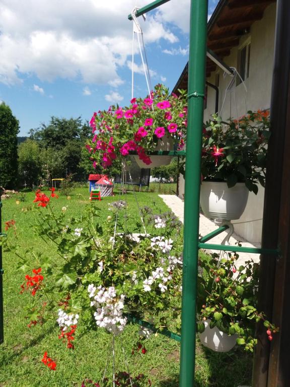 Zahrada ubytování Casa Ariana