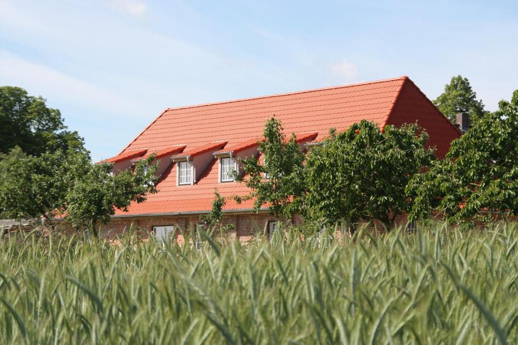 a house with an orange roof and a field of grass at Landliebe in Hasselberg