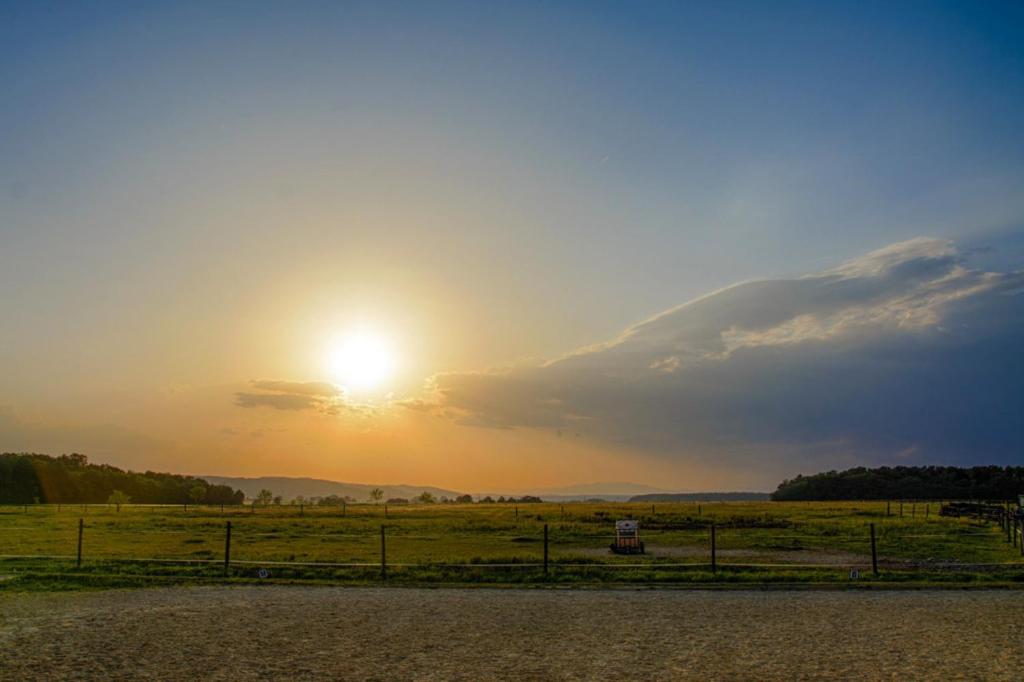 a sunset in a field with the sun in the sky at Bio-Pferdehof Fabian in Ludwigshof