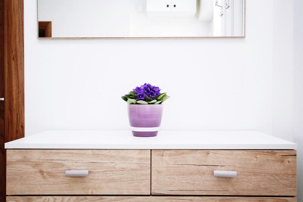 La salle de bains est pourvue d'une coiffeuse avec un vase de fleurs violettes. dans l'établissement Apartment Anica, à Trogir