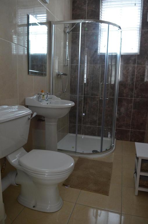 a bathroom with a toilet and a shower and a sink at Blessings Studio Apartments in Cootehill