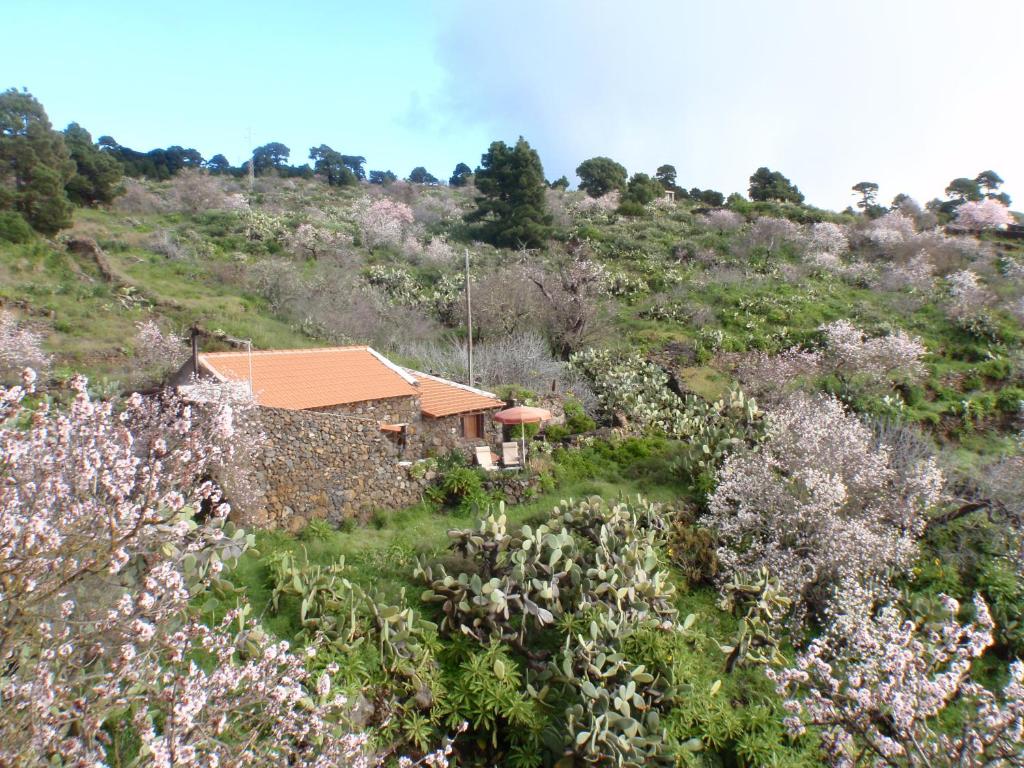 El Pinar del Hierro的住宿－Casa rural La Jarita，相簿中的一張相片