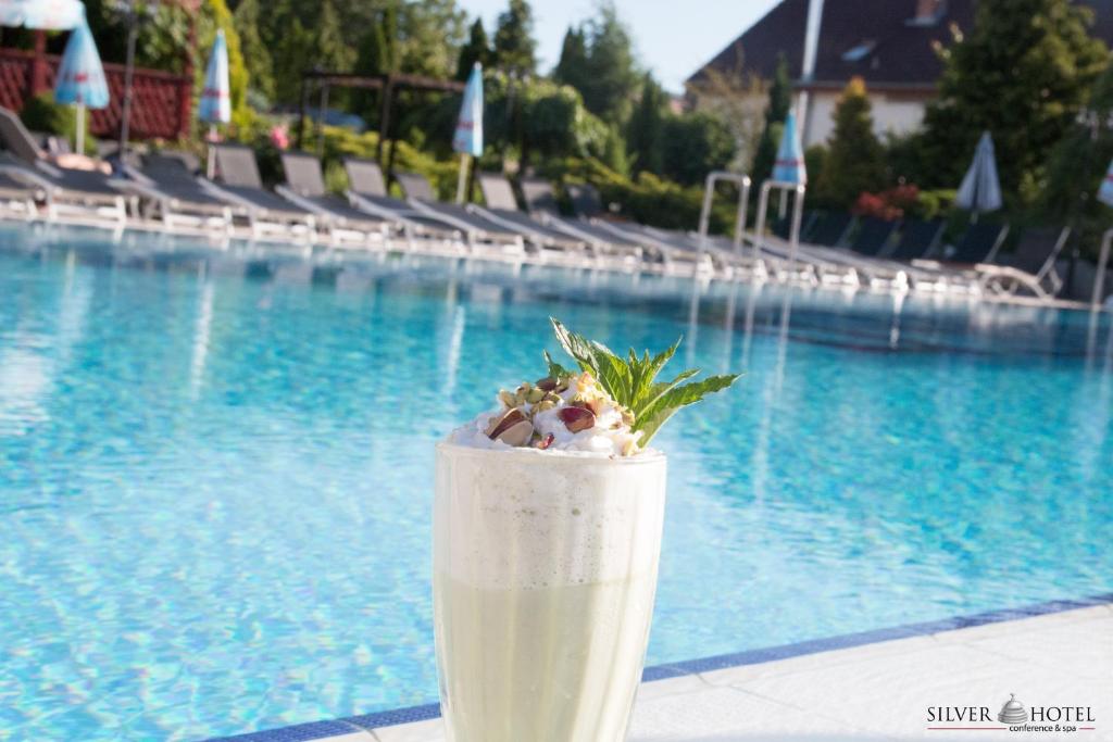 Bazén v ubytování Silver Hotel nebo v jeho okolí