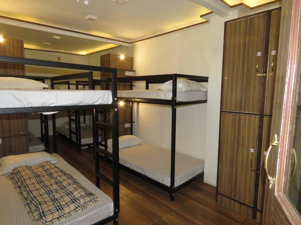 Двухъярусная кровать или двухъярусные кровати в номере Comfort Stay Hostel