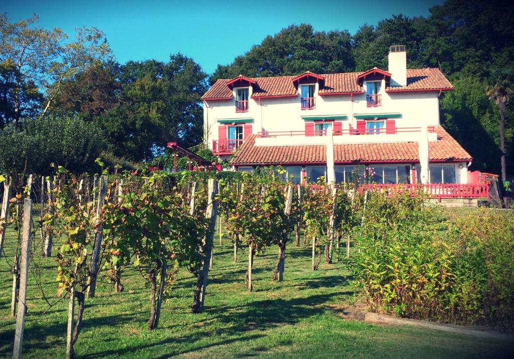 een huis midden in een wijngaard met bomen bij La Ferme Ostalapia in Ahetze