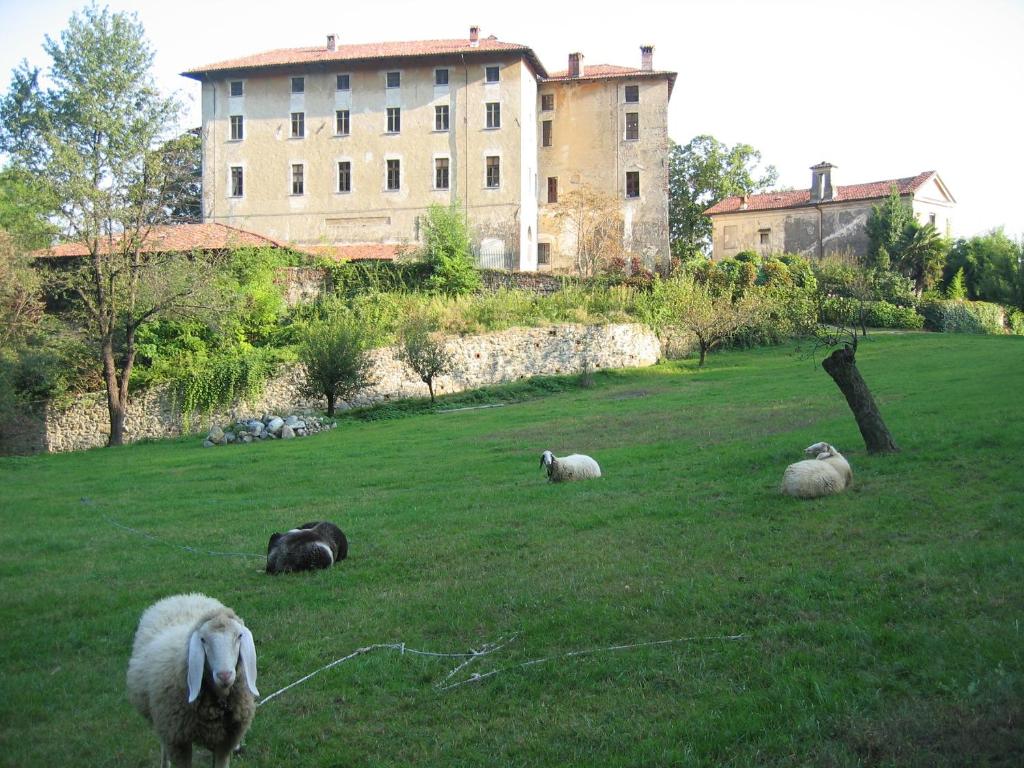 Zvieratá v ubytovaní bed & breakfast alebo blízkom okolí