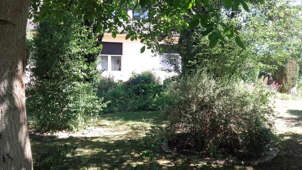 Κήπος έξω από το Chambres du Jardin Fleuri