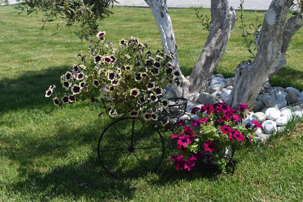 A garden outside Littore Maris