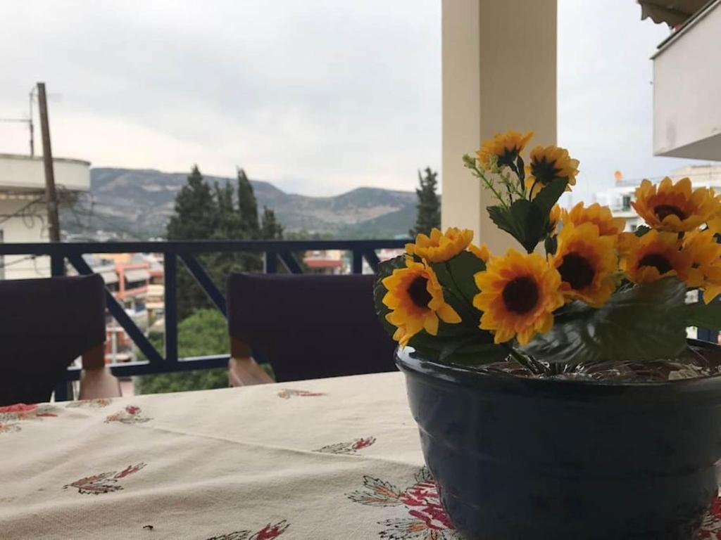 Výhľad na hory alebo výhľad na hory priamo z apartmánu