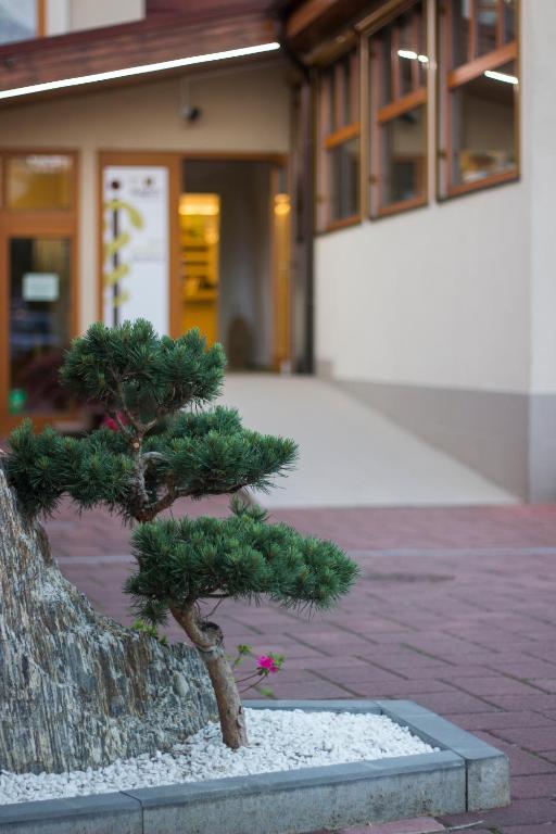Foto sihtkohas Vsetín asuva majutusasutuse Hotel MAGISTR Vsetín galeriist