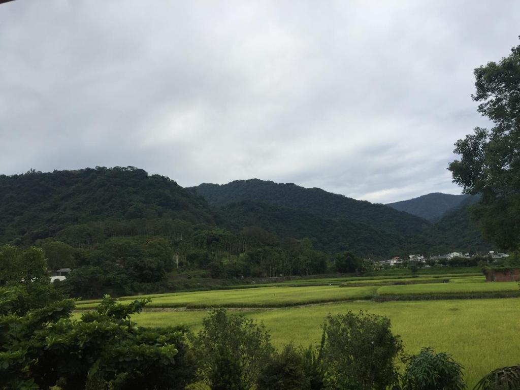 a green field with mountains in the background at Golden flower Homestay in Yuli