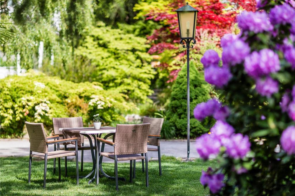 Zahrada ubytování Hotel Sonnenhof