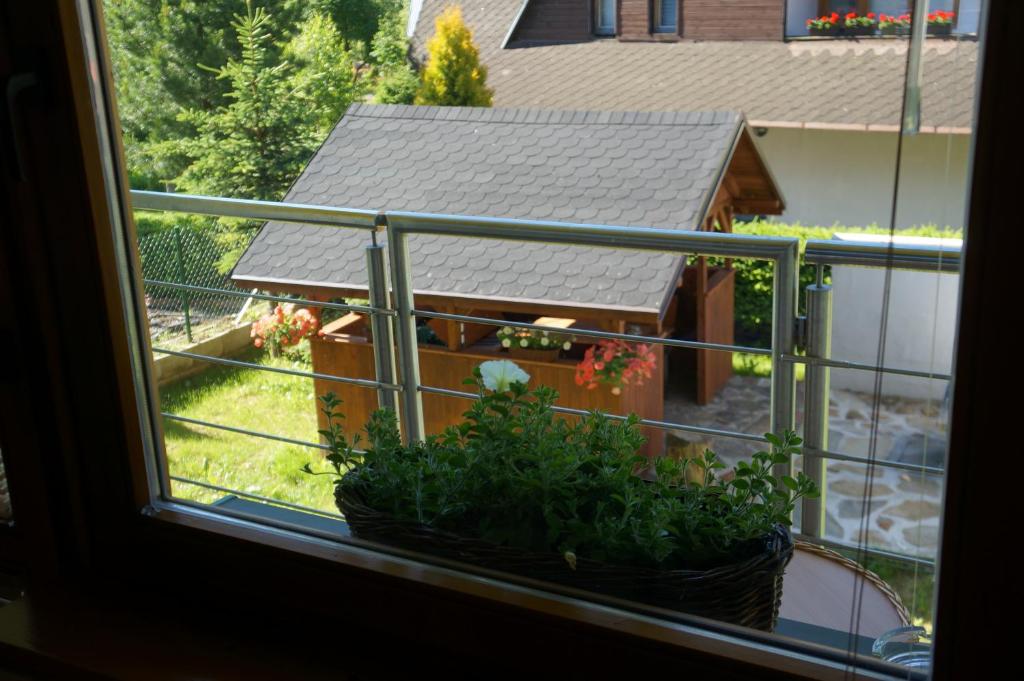 Zahrada ubytování Apartmány Habovka
