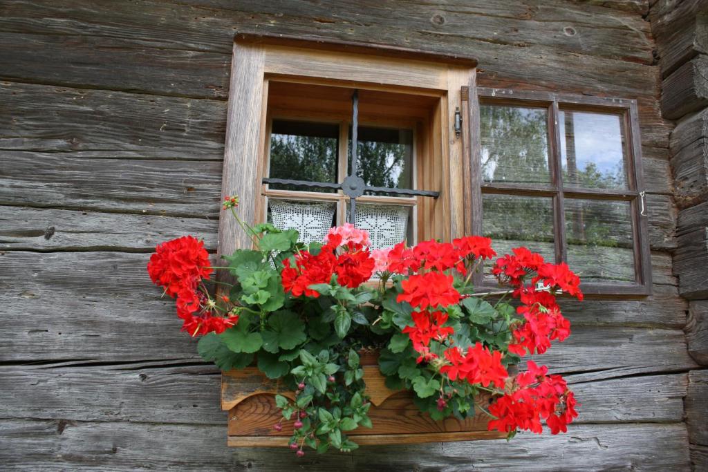 Zahrada ubytování Altes Gehöft am Lormanberg
