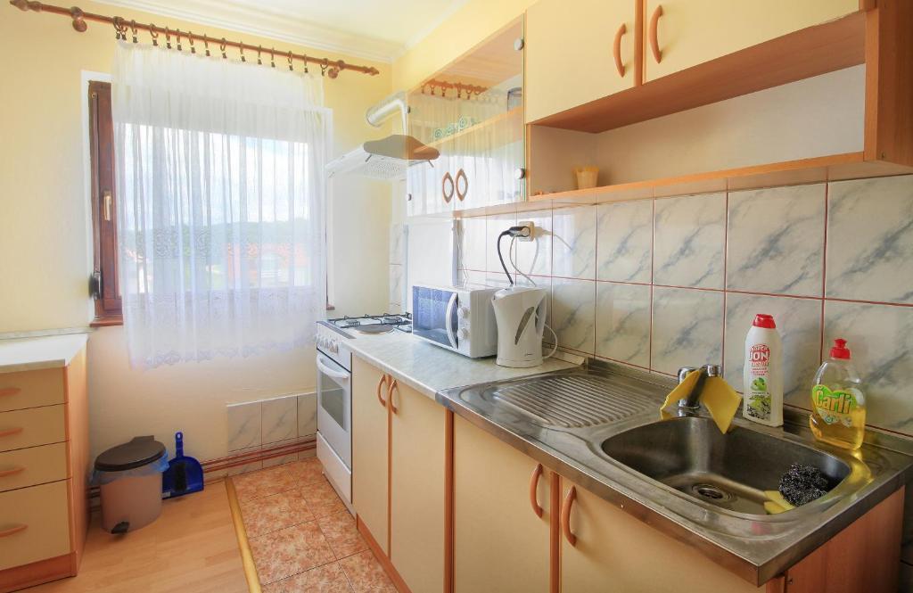 Kuchyň nebo kuchyňský kout v ubytování Apartments Sabljak