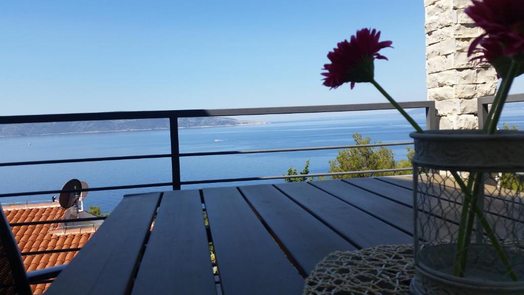 Příroda nedaleko apartmánu
