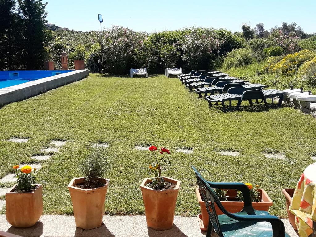 Vonkajšia záhrada v ubytovaní Apartment Manuela