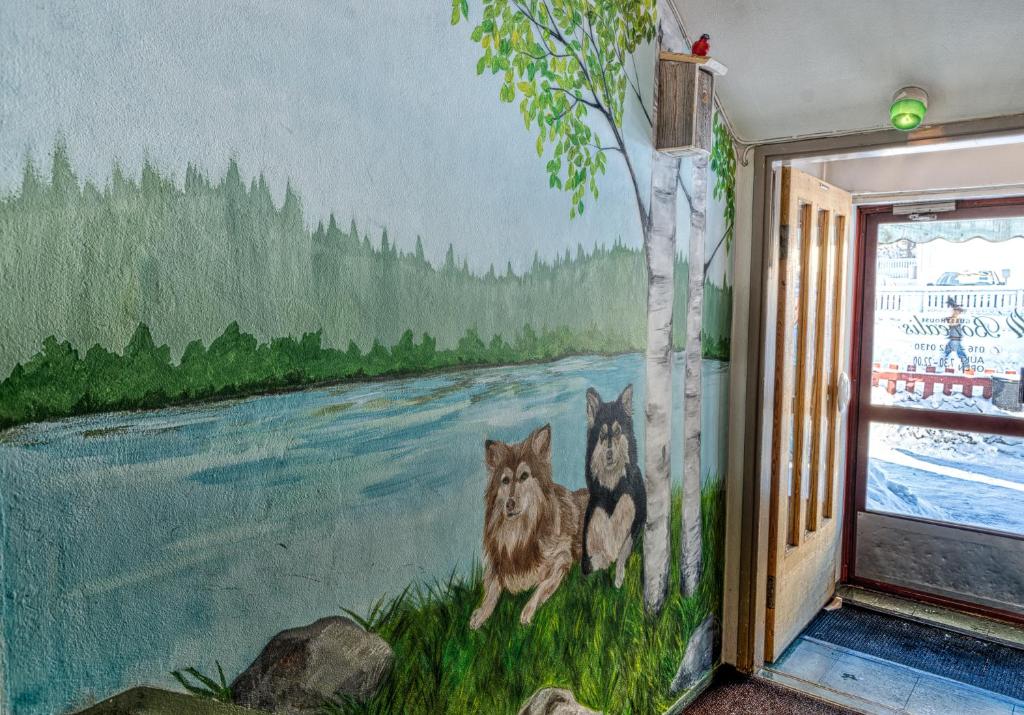 Fotografie z fotogalerie ubytování Guesthouse Borealis v destinaci Rovaniemi
