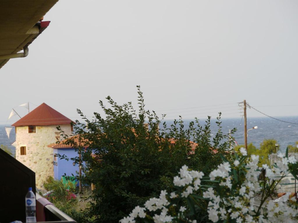 Příroda nedaleko hotelu