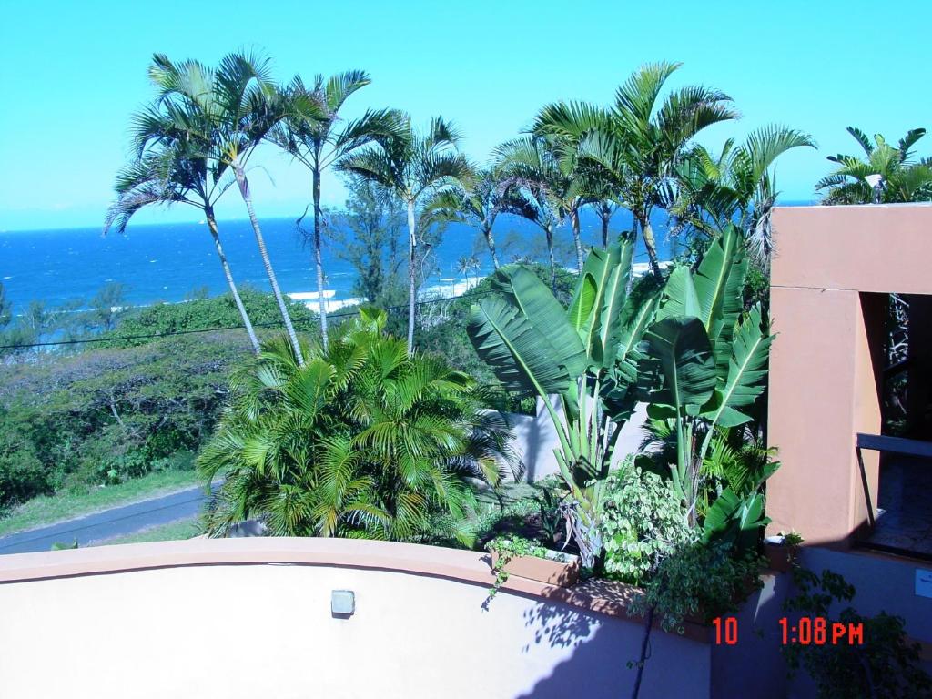 a view of the ocean from a balcony with palm trees at La-Peng Guest House in La Mercy