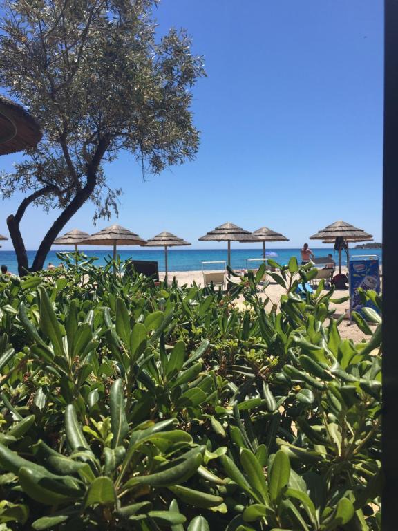 Φυσικό τοπίο κοντά σε αυτό το διαμέρισμα