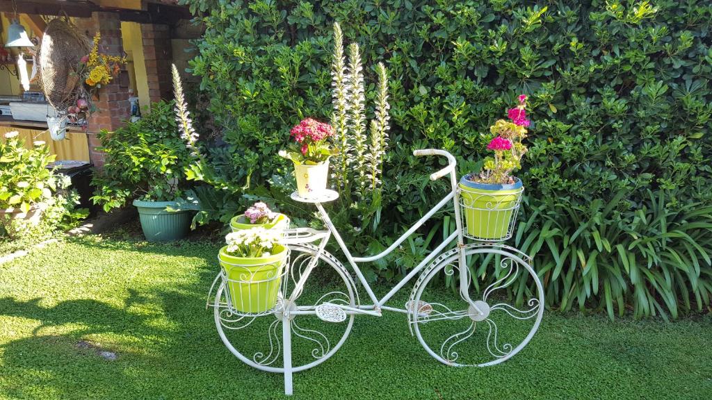 Zahrada ubytování Guest house Il Giardino in Città
