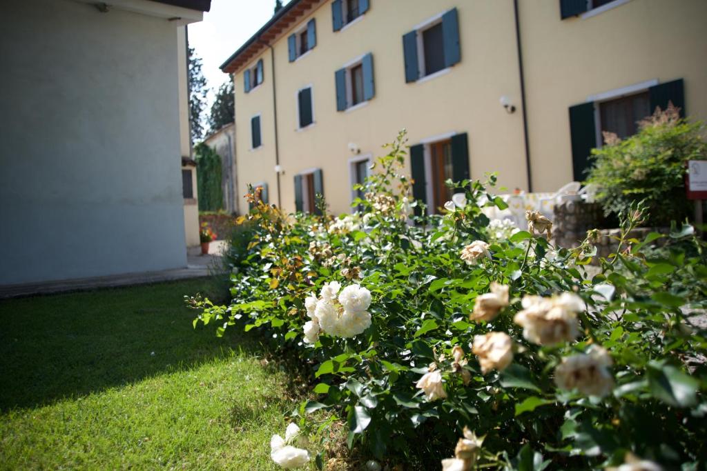 Zahrada ubytování Agriturismo Albarello