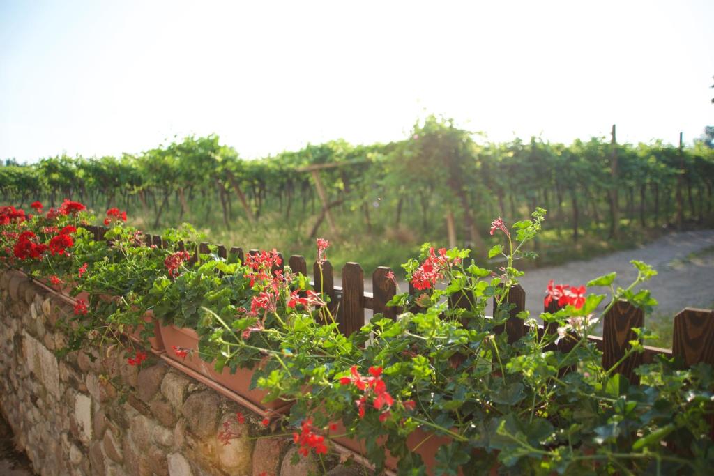 Zahrada ubytování Agriturismo Albarello