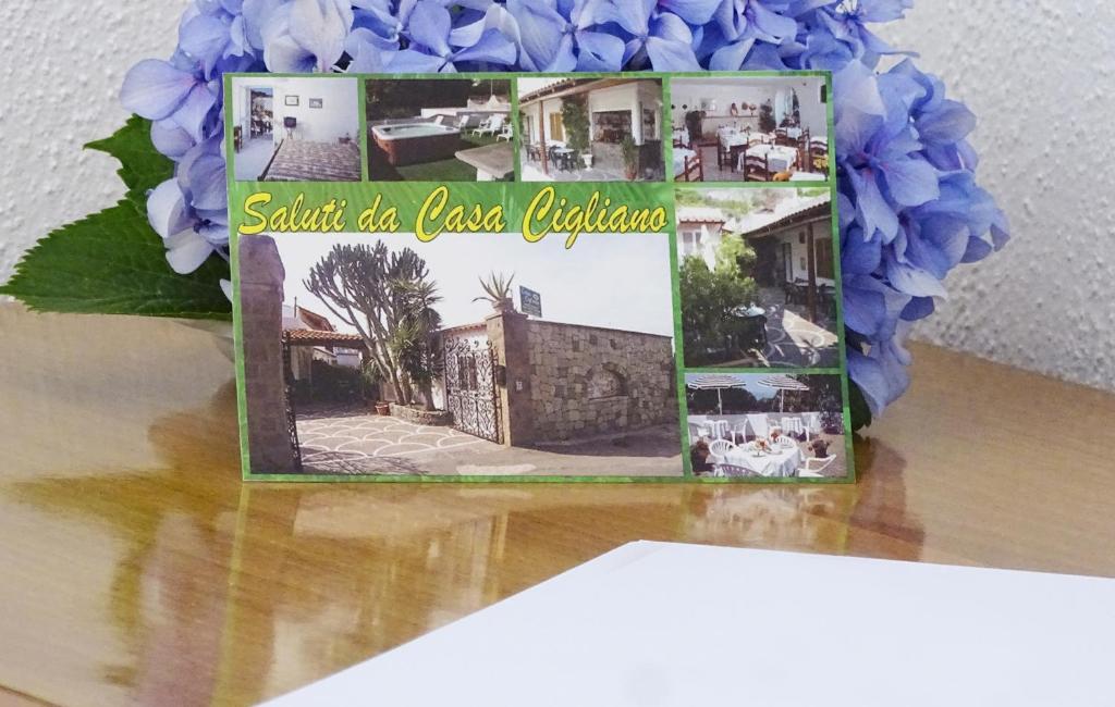 Zdjęcie z galerii obiektu Casa Cigliano w mieście Ischia