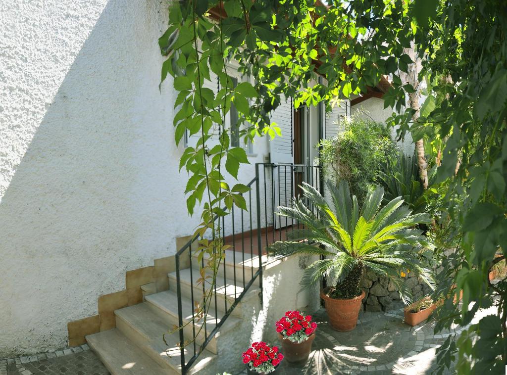 Ogród w obiekcie Casa Cigliano